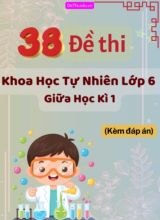 Tổng hợp 38 Đề thi Tự luận KHTN 6 giữa Kì 1 (Kèm đáp án)